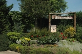 12 Dsc_1954b 600